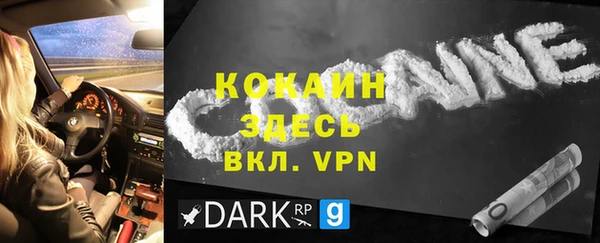 прущие грибы Кулебаки