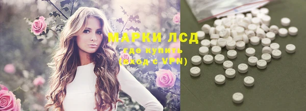 прущие грибы Кулебаки