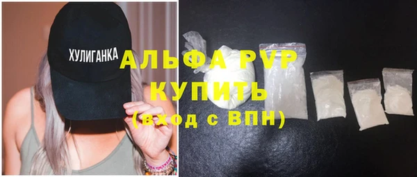 прущие грибы Кулебаки
