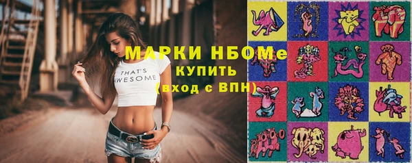 прущие грибы Кулебаки