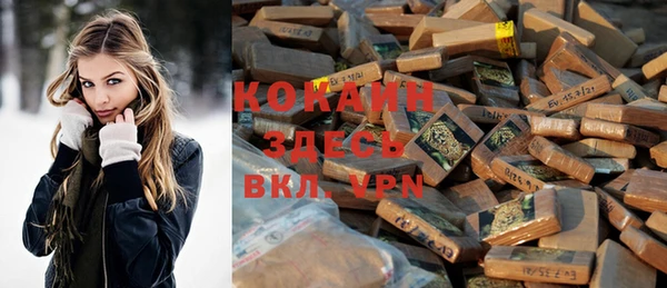прущие грибы Кулебаки
