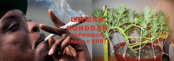 ПСИЛОЦИБИНОВЫЕ ГРИБЫ Куйбышев