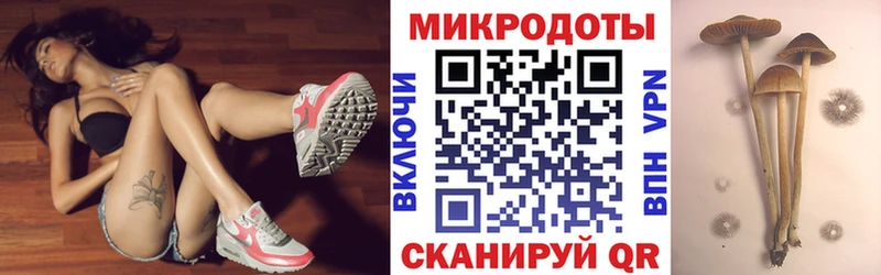 Купить закладки  Иланский  Галлюциногенные грибы ЛСД 